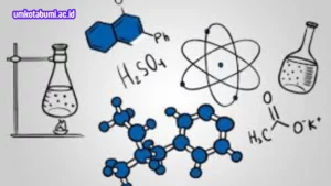 Risiko-Penggunaan-Senyawa-Organik