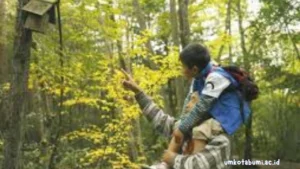 lulusan-S1-Kehutanan