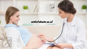 Kesehatan-Maternal-Adalah